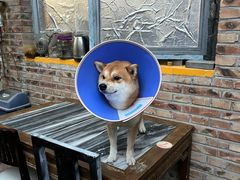 -新疆狼爷烤肉(宋庄店)