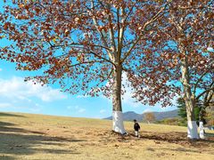 -钟山体育运动公园