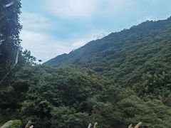 -四明山国家森林公园