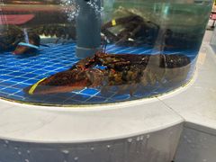 -渔人码头(中南店)