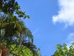 -广州绿地中央广场