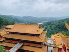 -东莞市大岭山森林公园