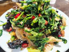 -普集烧鸡(新店)