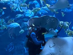 -杭州长乔极地海洋公园