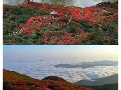 -大围山国家森林公园