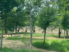 -秦皇岛野生动物园