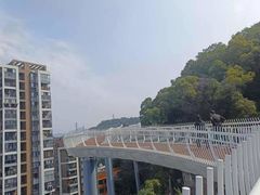 -金鸡山公园
