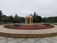 -南山植物园