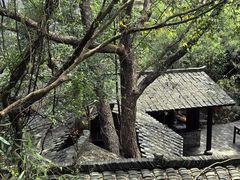 -冠豸山景区