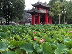 -四川大学(华西校区)