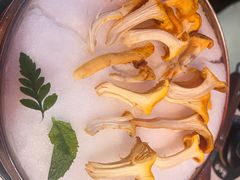 -芸山季·云南野生菌火锅(人民广场来福士店)