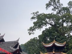 -峨眉山报国寺