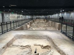 -洛阳周王城天子驾六博物馆