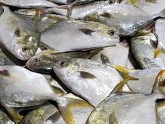 -羊栏农贸市场(羊新路店)