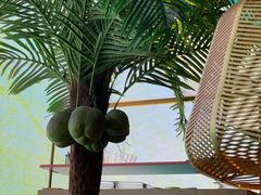 -大头椰·椰子鸡火锅(南宁万象城店)