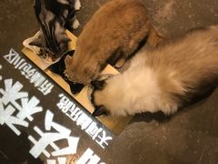 -咖法森林·咖啡  酒吧(天河店)