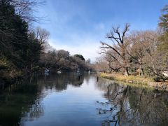 -井之头恩赐公园