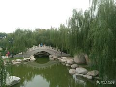-西安青龙寺遗址景区
