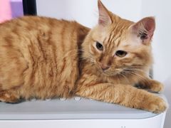 -SUPERMONKEY超级猩猩健身(珠江新城店)