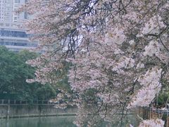 -红星桥(地铁站)