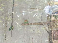 -昆明动物园