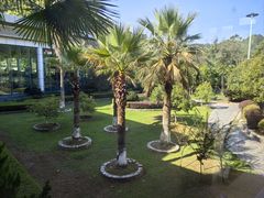 -明月山天沐温泉度假村