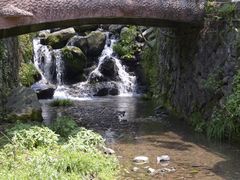 -藏龙百瀑风景区