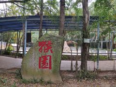 -广东茂名森林公园