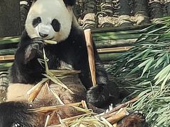 -大连森林动物园