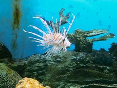 -泉州海丝野生动物世界