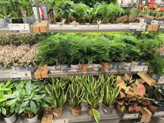 -鹿岛生活(熙地港店)
