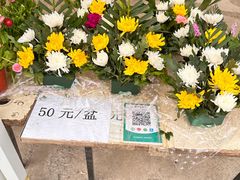 -北京市八达岭人民公墓