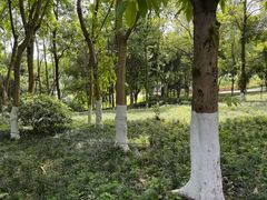 -重庆彩云湖湿地公园