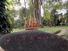 -瑞丽独树成林风景区