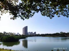 -万绿园