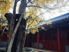 -承恩寺