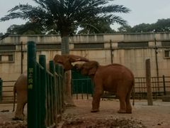 -昆明动物园