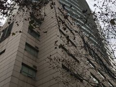 -上海交通大学医学院附属瑞金医院(总院)