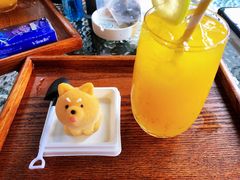 -柴犬高等学院·狗咖·柴犬售卖·宠物训练