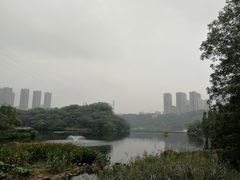 -重庆彩云湖湿地公园