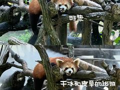 -杭州少年儿童公园