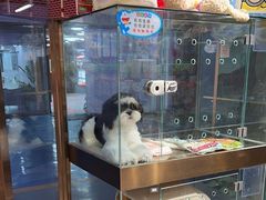 -FAELING PETS美天灵宠物(富力广场店)