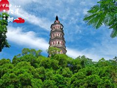 -顺峰山公园