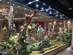 -趣陶陶艺手工坊(新世界百货重庆店)