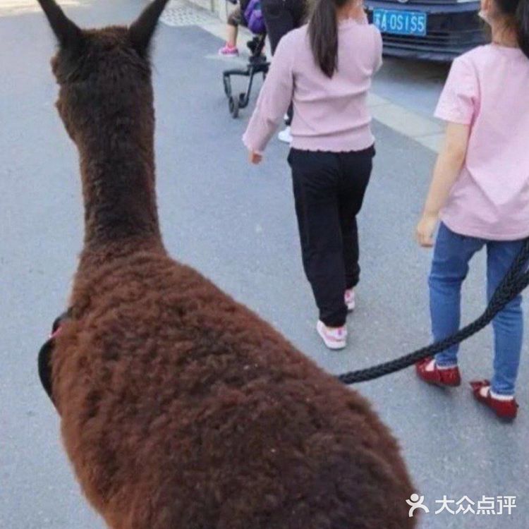 萌宠乐园[调皮]