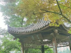 -重庆彩云湖湿地公园