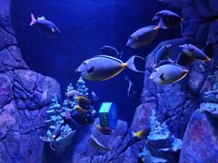 -成都浩海立方海洋公园