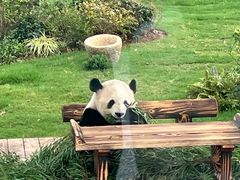 -无锡动物园·太湖欢乐园
