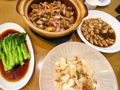 -永記粤菜·五指毛桃花雕鸡煲(九亭店)