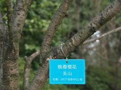 -南山植物园